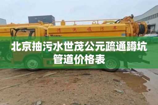 北京抽污水世茂公元疏通蹲坑管道价格表