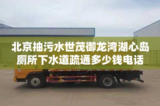北京抽污水世茂御龙湾湖心岛厕所下水道疏通多少钱电话
