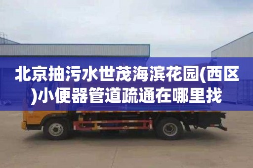 北京抽污水世茂海滨花园(西区)小便器管道疏通在哪里找