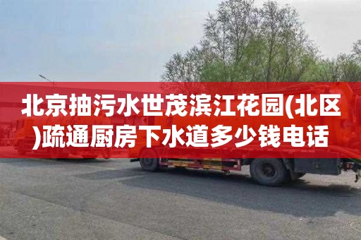 北京抽污水世茂滨江花园(北区)疏通厨房下水道多少钱电话