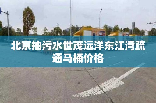 北京抽污水世茂远洋东江湾疏通马桶价格