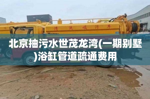 北京抽污水世茂龙湾(一期别墅)浴缸管道疏通费用
