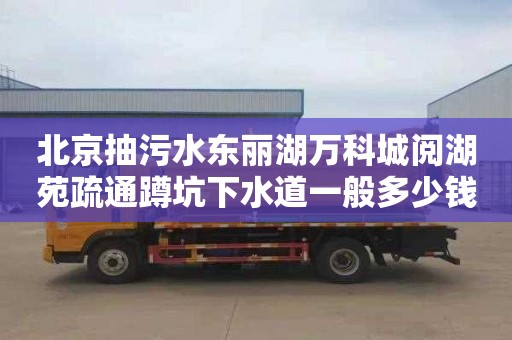 北京抽污水东丽湖万科城阅湖苑疏通蹲坑下水道一般多少钱