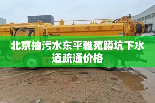 北京抽污水东平雅苑蹲坑下水道疏通价格