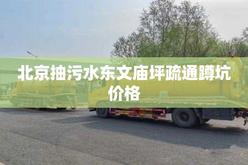 北京抽污水东文庙坪疏通蹲坑价格
