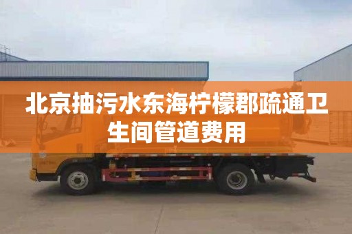 北京抽污水东海柠檬郡疏通卫生间管道费用