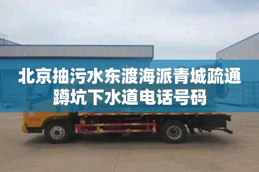 北京抽污水东渡海派青城疏通蹲坑下水道电话号码