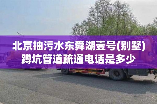 北京抽污水东舜湖壹号(别墅)蹲坑管道疏通电话是多少