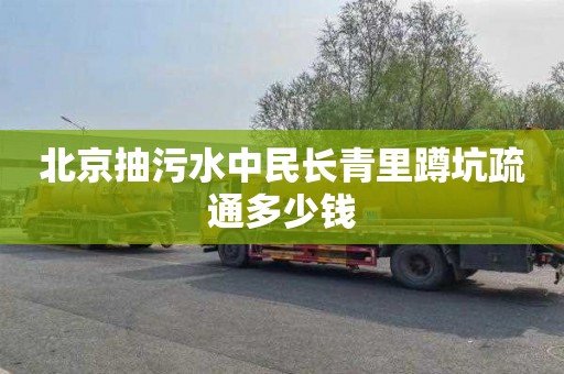 北京抽污水中民长青里蹲坑疏通多少钱