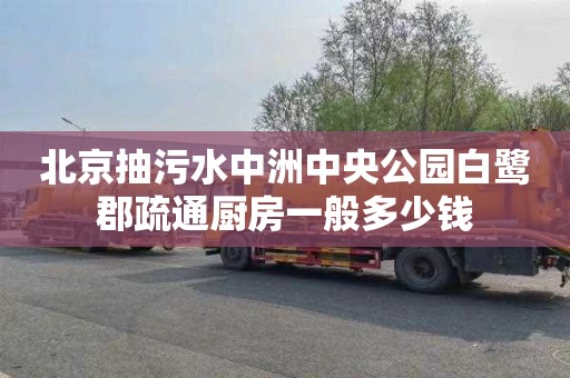 北京抽污水中洲中央公园白鹭郡疏通厨房一般多少钱