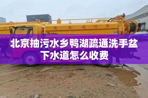 北京抽污水乡鸭湖疏通洗手盆下水道怎么收费