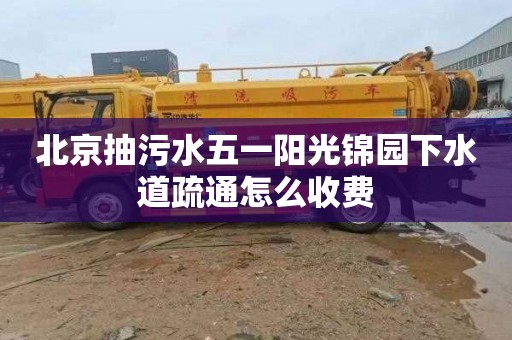 北京抽污水五一阳光锦园下水道疏通怎么收费