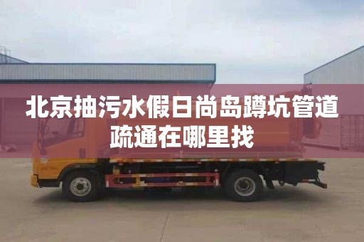 北京抽污水假日尚岛蹲坑管道疏通在哪里找
