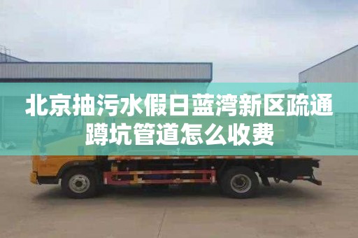 北京抽污水假日蓝湾新区疏通蹲坑管道怎么收费