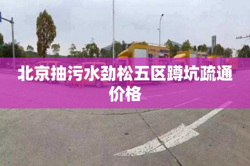 北京抽污水劲松五区蹲坑疏通价格