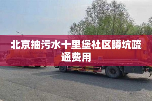 北京抽污水十里堡社区蹲坑疏通费用