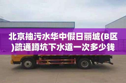 北京抽污水华中假日丽城(B区)疏通蹲坑下水道一次多少钱