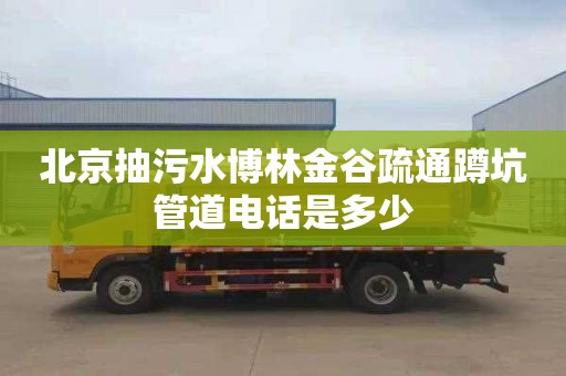北京抽污水博林金谷疏通蹲坑管道电话是多少