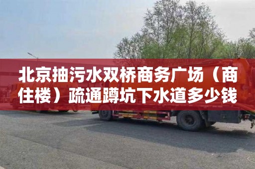 北京抽污水双桥商务广场（商住楼）疏通蹲坑下水道多少钱一次