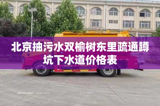 北京抽污水双榆树东里疏通蹲坑下水道价格表