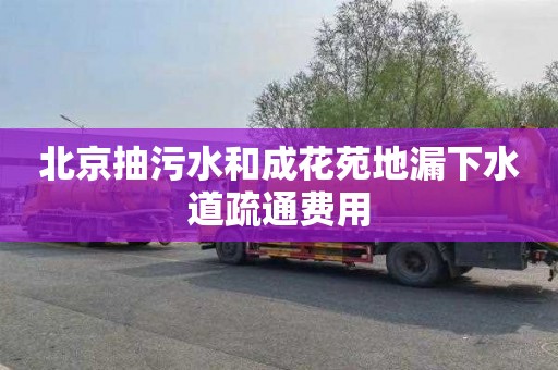 北京抽污水和成花苑地漏下水道疏通费用