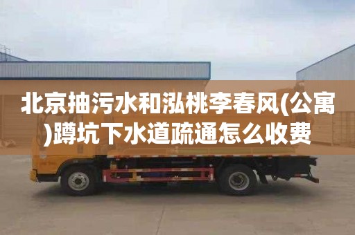 北京抽污水和泓桃李春风(公寓)蹲坑下水道疏通怎么收费