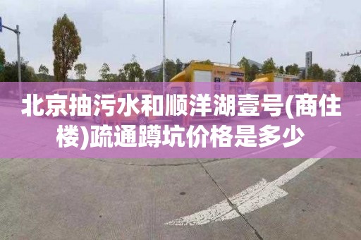 北京抽污水和顺洋湖壹号(商住楼)疏通蹲坑价格是多少