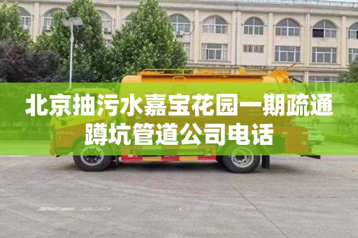 北京抽污水嘉宝花园一期疏通蹲坑管道公司电话