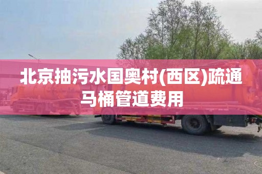 北京抽污水国奥村(西区)疏通马桶管道费用