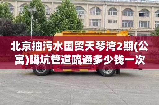 北京抽污水国贸天琴湾2期(公寓)蹲坑管道疏通多少钱一次