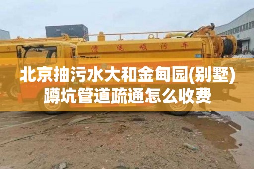 北京抽污水大和金甸园(别墅)蹲坑管道疏通怎么收费