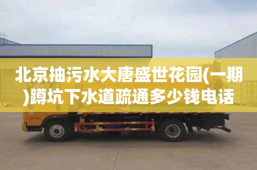 北京抽污水大唐盛世花园(一期)蹲坑下水道疏通多少钱电话