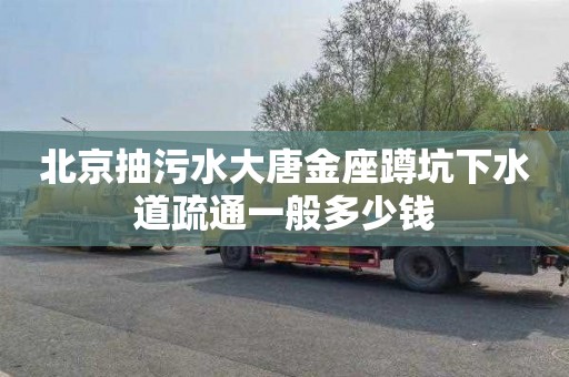 北京抽污水大唐金座蹲坑下水道疏通一般多少钱