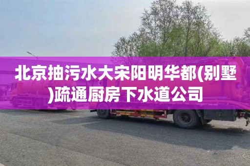 北京抽污水大宋阳明华都(别墅)疏通厨房下水道公司