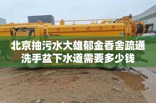 北京抽污水大雄郁金香舍疏通洗手盆下水道需要多少钱