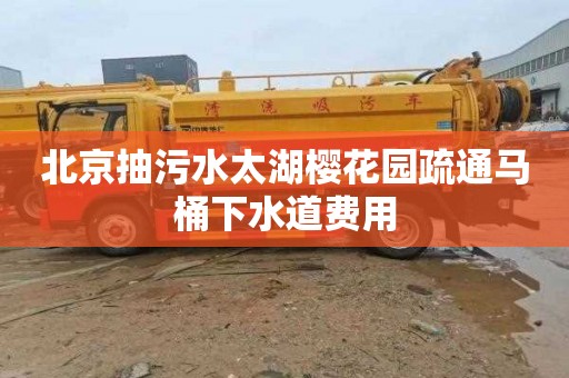 北京抽污水太湖樱花园疏通马桶下水道费用