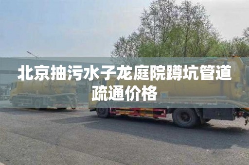 北京抽污水子龙庭院蹲坑管道疏通价格
