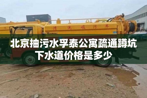 北京抽污水孚泰公寓疏通蹲坑下水道价格是多少