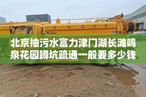 北京抽污水富力津门湖长滩鸣泉花园蹲坑疏通一般要多少钱