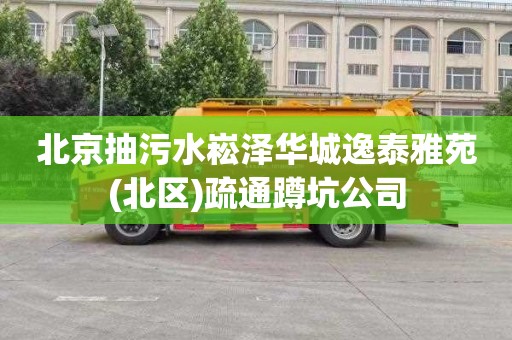 北京抽污水崧泽华城逸泰雅苑(北区)疏通蹲坑公司