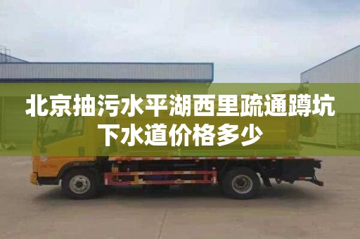 北京抽污水平湖西里疏通蹲坑下水道价格多少
