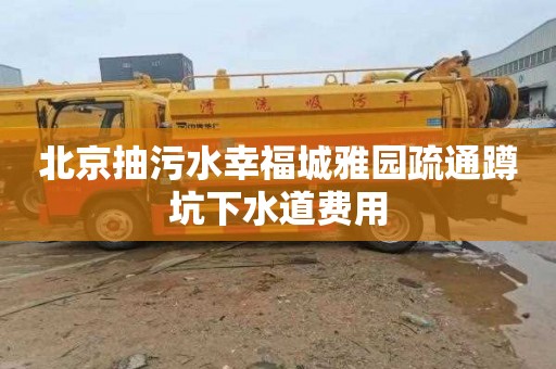 北京抽污水幸福城雅园疏通蹲坑下水道费用