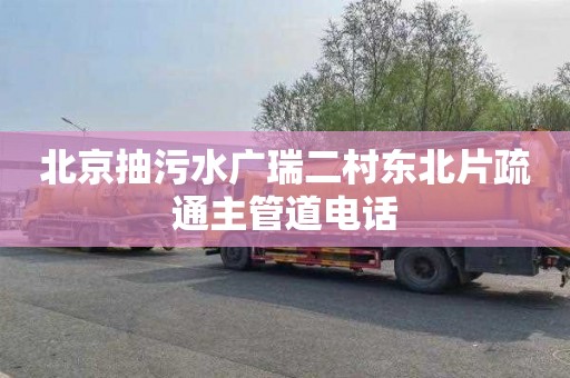 北京抽污水广瑞二村东北片疏通主管道电话