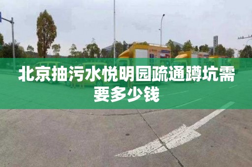 北京抽污水悦明园疏通蹲坑需要多少钱