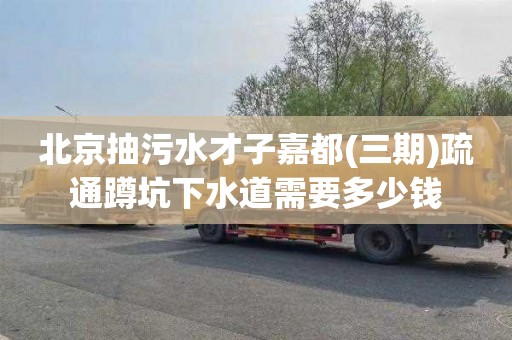 北京抽污水才子嘉都(三期)疏通蹲坑下水道需要多少钱
