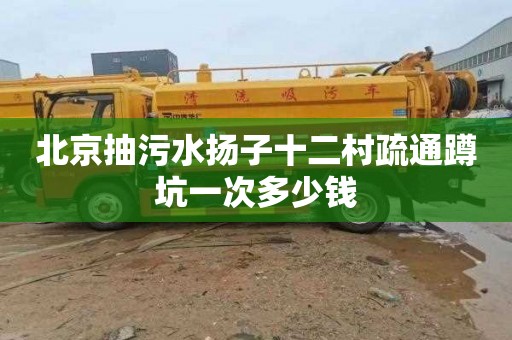 北京抽污水扬子十二村疏通蹲坑一次多少钱