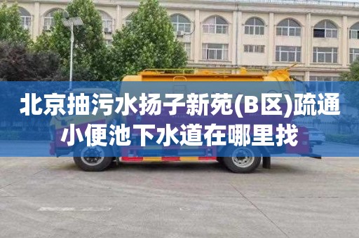 北京抽污水扬子新苑(B区)疏通小便池下水道在哪里找