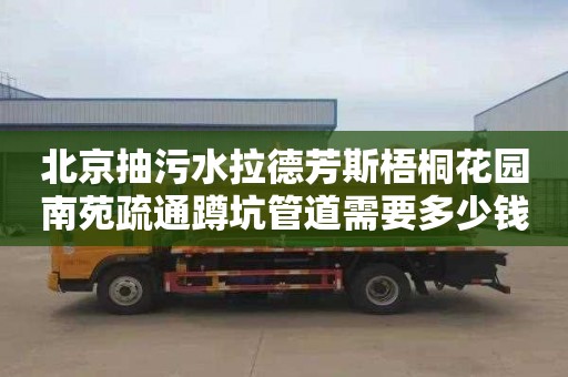 北京抽污水拉德芳斯梧桐花园南苑疏通蹲坑管道需要多少钱
