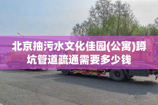 北京抽污水文化佳园(公寓)蹲坑管道疏通需要多少钱