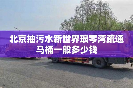北京抽污水新世界琅琴湾疏通马桶一般多少钱